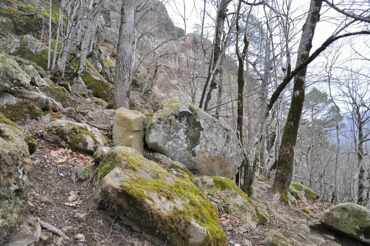 Планческая щель северский. Станица крепостная планческая щель. Планческие скалы краснодарский край. Планческая щель северский. Планческая щель.