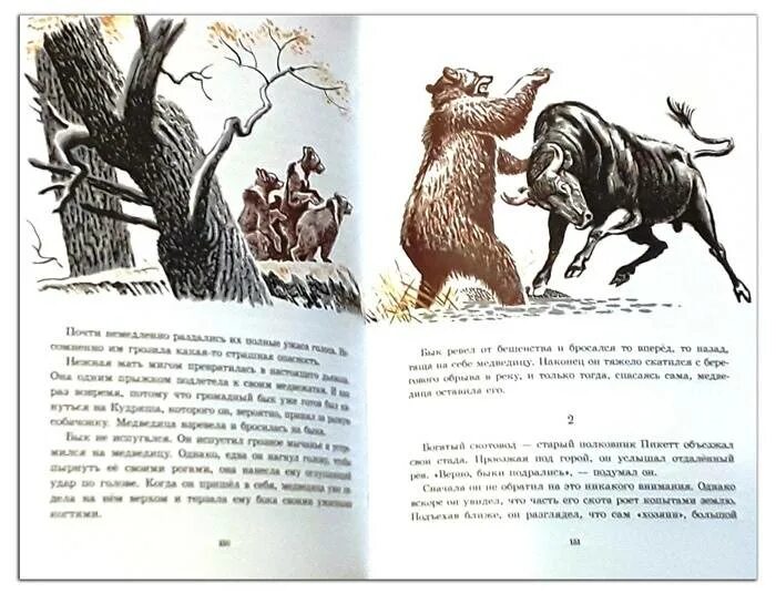 Сетон томпсон рассказы о животных читать. Книга рассказы о животных томпсон иллюстрации. эрнест сетон-томпсон рассказы о животных иллюстрации. эрнест сетон-томпсон иллюстрации к книгам. сетон-томпсон рассказы о животных книга иллюстрации.