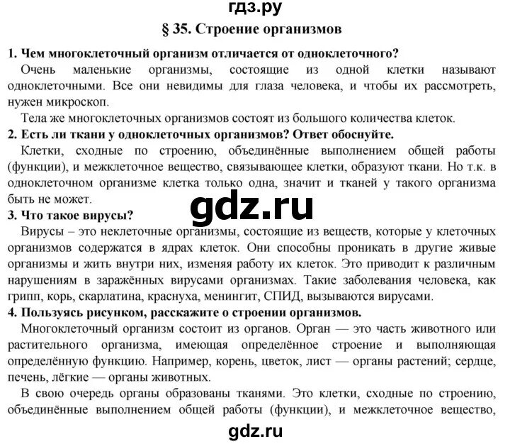 Краткое содержание история 5 класс параграф 35. Конспект по истории 5 класс параграф 35. История параграф 35. Рассказ по истории параграф 35 5 класс. План по истории 5 класс параграф 35.