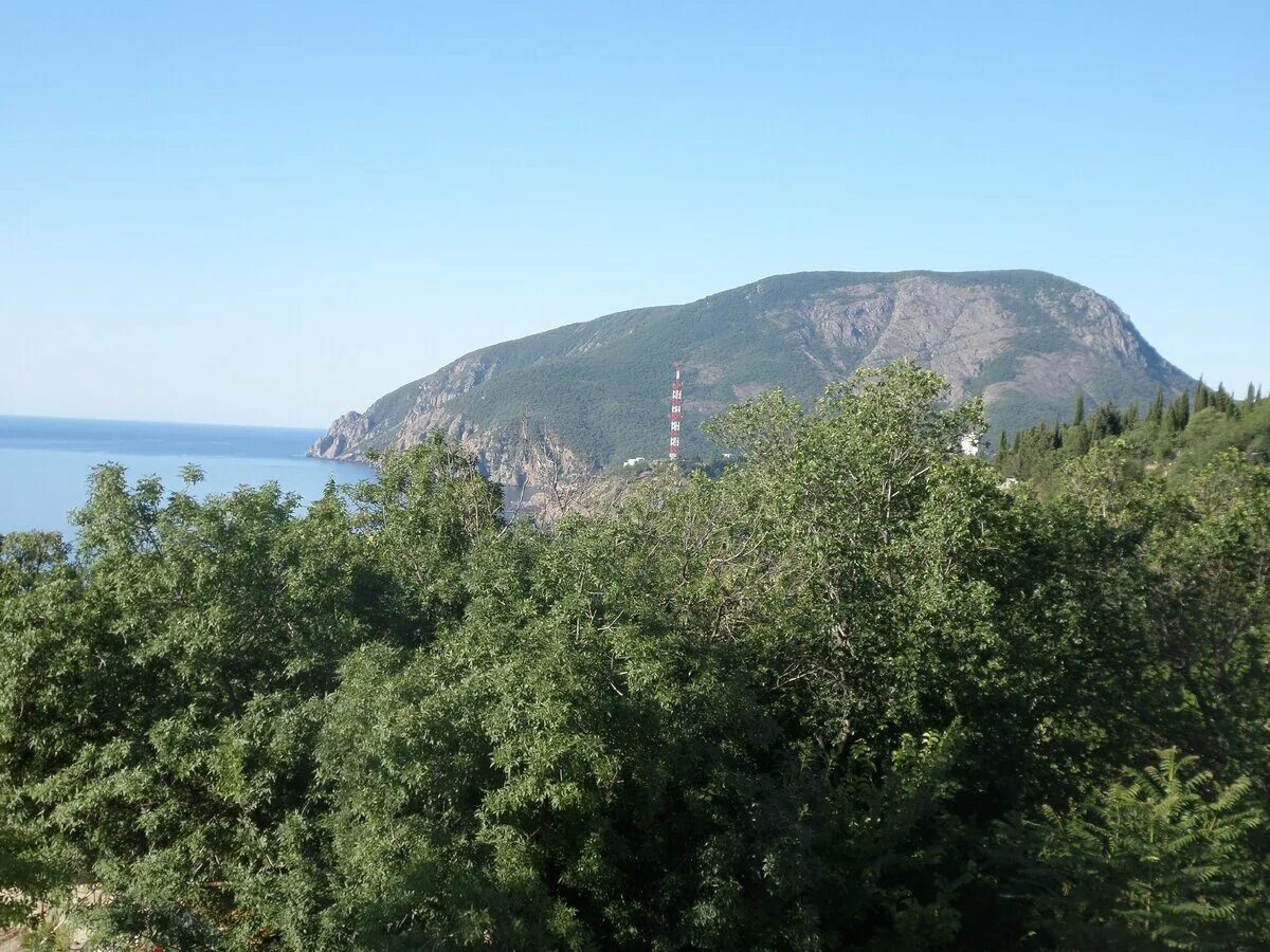 Гора аю даг артек. Медведь гора алушта. Артек медведь гора. Артек медведь гора. Гора аю даг артек.