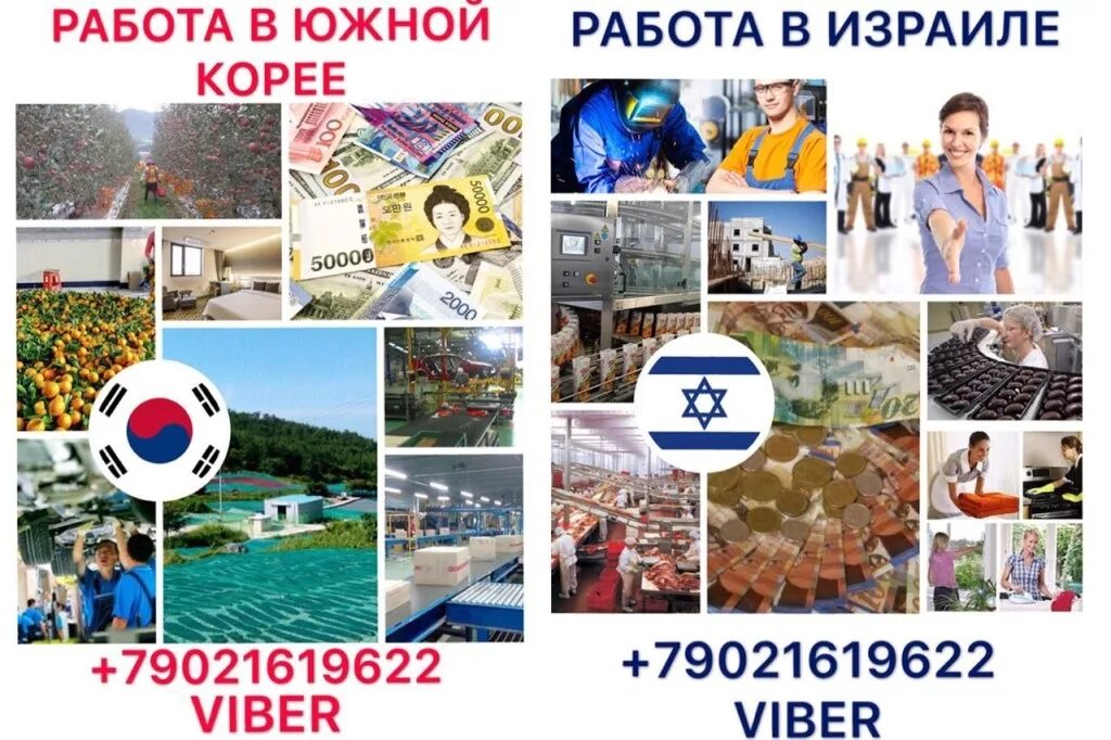 Работа южно-сахалинск вакансии. Доставщик еды. Подработка южный. Работа в корее. Курьер.