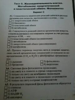 Энергетический обмен клетки тест