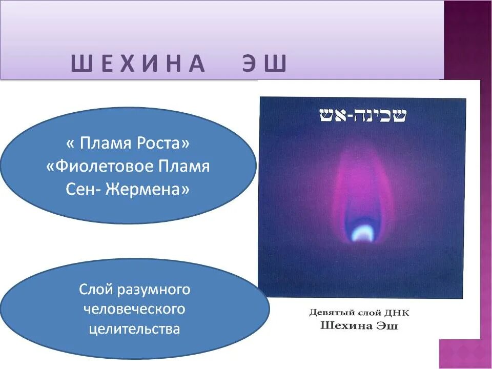 Сен Жермен фиолетовое пламя. Веления фиолетового пламени. Храм фиолетового пламени сен Жермена. Фиолетовое пламя сен-Жермена медитация. Пламя сен