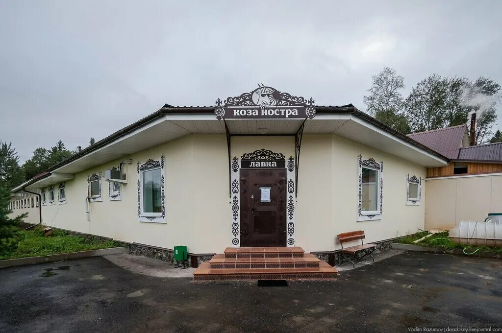 Коза ностра козья ферма. Козий сыр коза ностра. Ферма коза ностра с6 д головково марьино. Коза ностра ферма талдом. Коза ностра сыр.