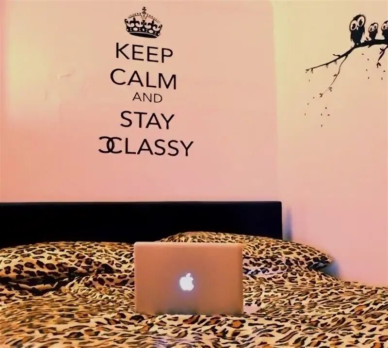 Stay at my place. Stay classy наклейка.