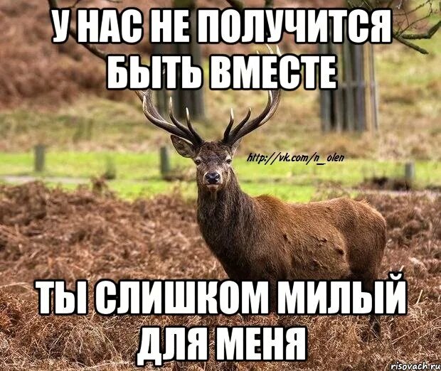Как говорил один мой знакомый. Жизнь. Я слишком хорошая и правильная. Бабник смешные картинки. Моё имя слишком известно чтобы его называть.