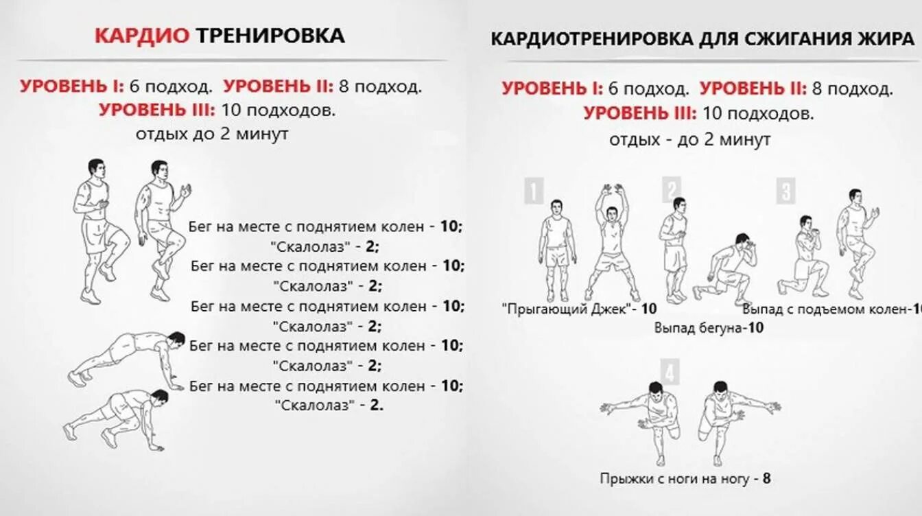 Кардиотренировка 10 минут. Кардиотренировка план кардиотренировки в зале. Кардиотренировки для сжигания жира для начинающих. Кардио упражнения для сжигания жира в домашних условиях. План кардиотренировки в зале для похудения.