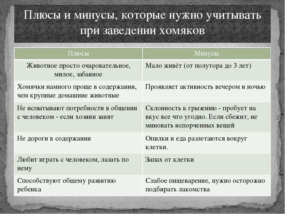 Плюсы и минусы животных. Плюсы и минусы домашних животных. Плюсы и минусы хомяков. Плюсы и минусы содержания домашних животных. Питомцы плюсы и минусы