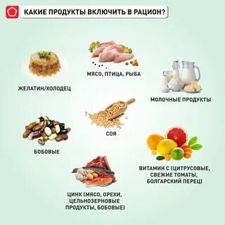 Выберите структуры в которых содержится белок коллаген