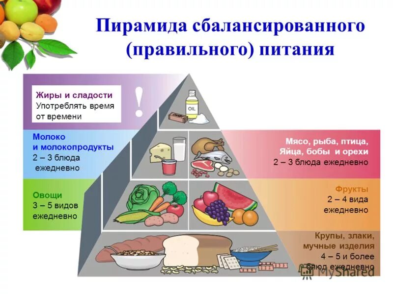 Закон правильной жизни