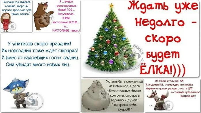 Песня ждать уже недолго скоро будет елка. Статус про елку. ждать уже недолго скоро будет ёлка. у унитазов скоро праздник их новогодний. прикольные статусы про елочку.