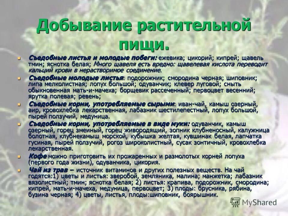 Кислотный перевод. Сообщение о вынужденной автономии человека в природной среде 8 класс. Листвой и другой растительной пищей,.