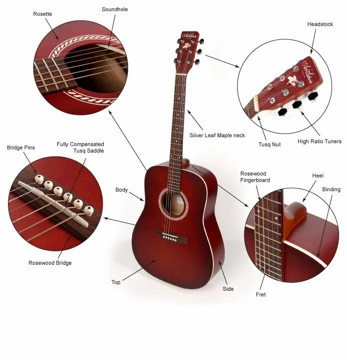Строение гитары акустической 6 струнной. Строение электроакустической гитары. Схема гитары классической 6 струнной. Строение гитары акустической 6 струнной схема. Гитара акустическая названия