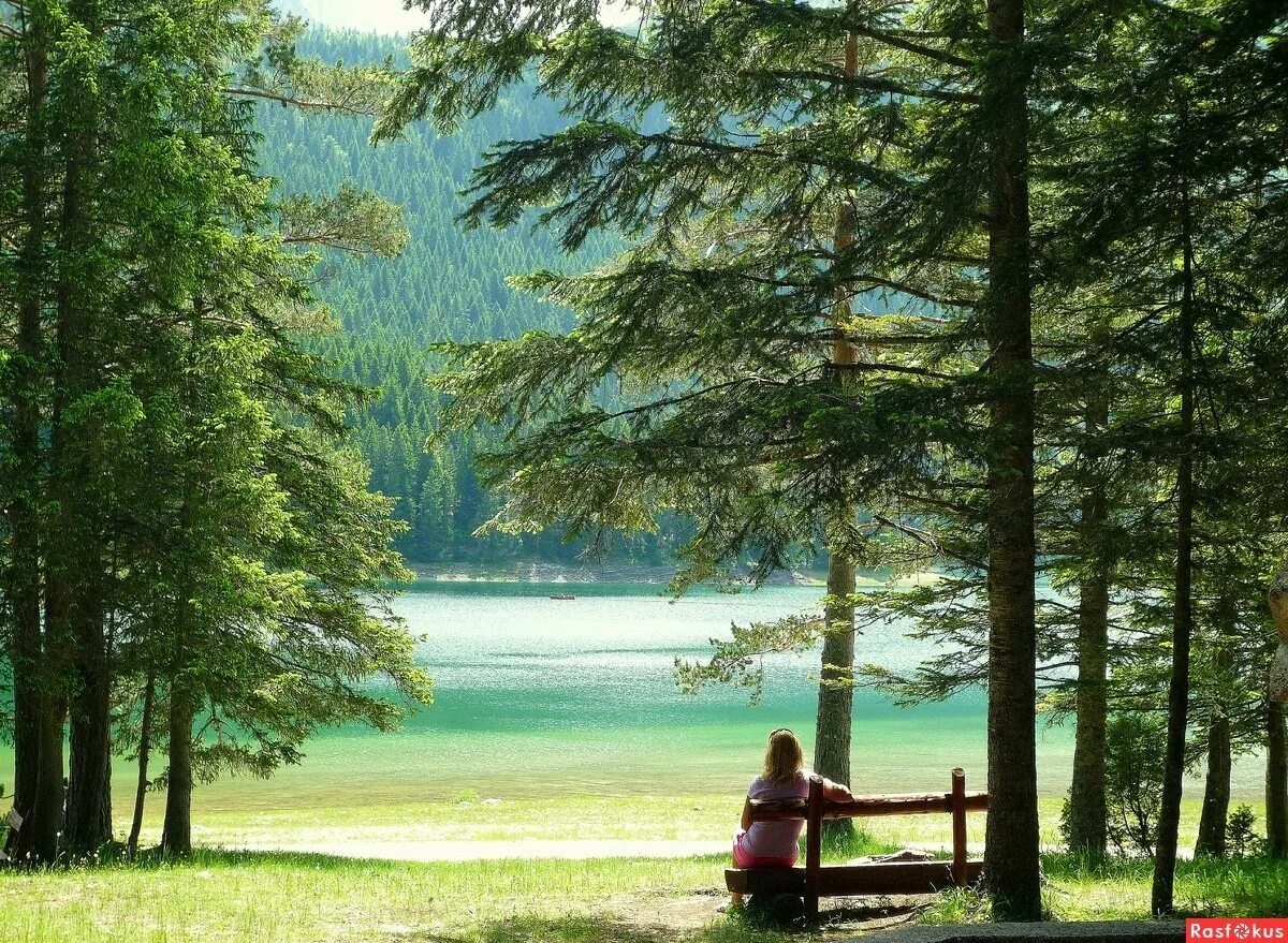 Картинка покой. Спокойствие природа. Лес умиротворение. Покой природа. Природа умиротворение и спокойствие.