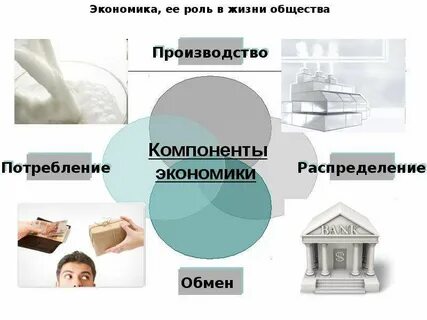 Экономика ее роль в жизни общества огэ