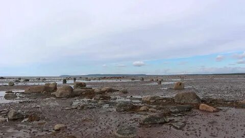 Приливы белого моря