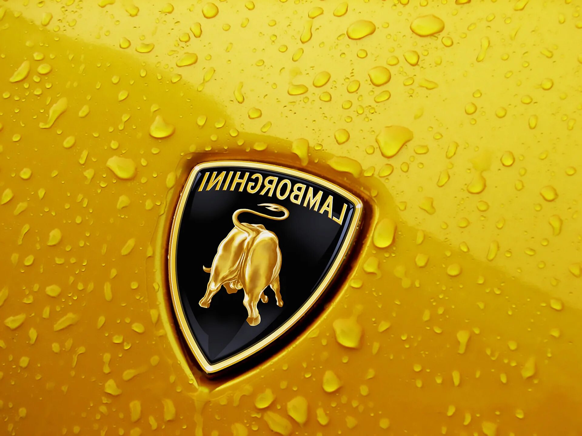 Новый значок ламборгини. Lamborghini логотип. Знак Ламборджини. Ламборджини шильдик. Надпись Ламборгини.