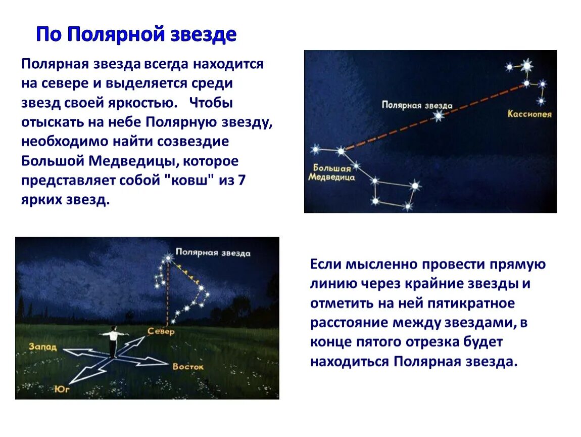 Полярная звезда. Полярная звезда всегда находится на севере. Как найти полярную звезду на небе. Как среди звезд найти полярную звезду. Сколько полярных звезд