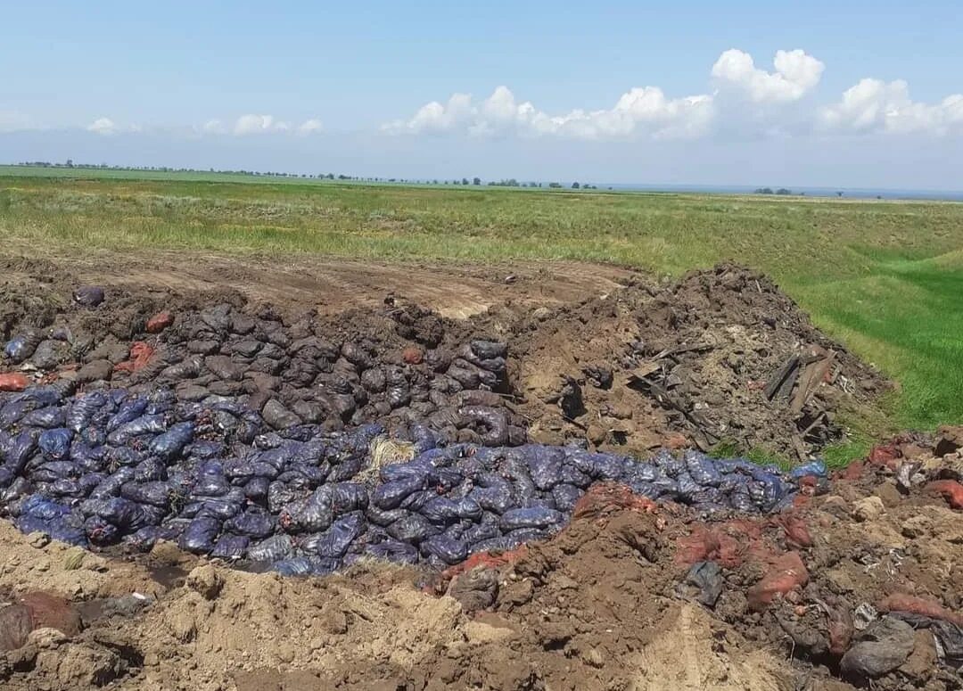 Рп 5 порт. Нагавская Котельниковский район. Станица Нагавская Волгоградская область. Станица Нагавская Котельниковский район Волгоградская область. Агрохолдинг Котельниковский.