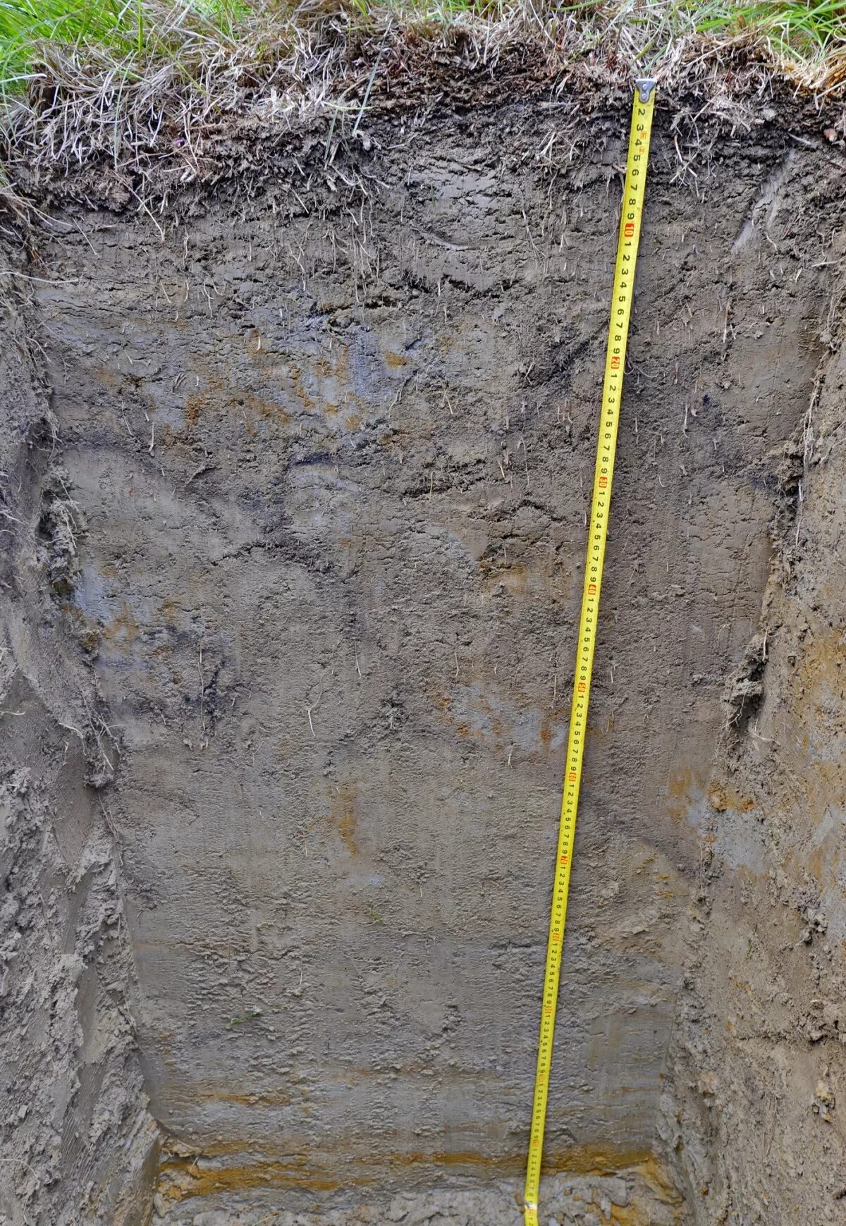 Глеевые горизонты почв. Тундра почва тундрово-глеевые. Глеевый горизонт почвы. Глеевые горизонты почв. Тундрово-глеевые почвы почвенный профиль.