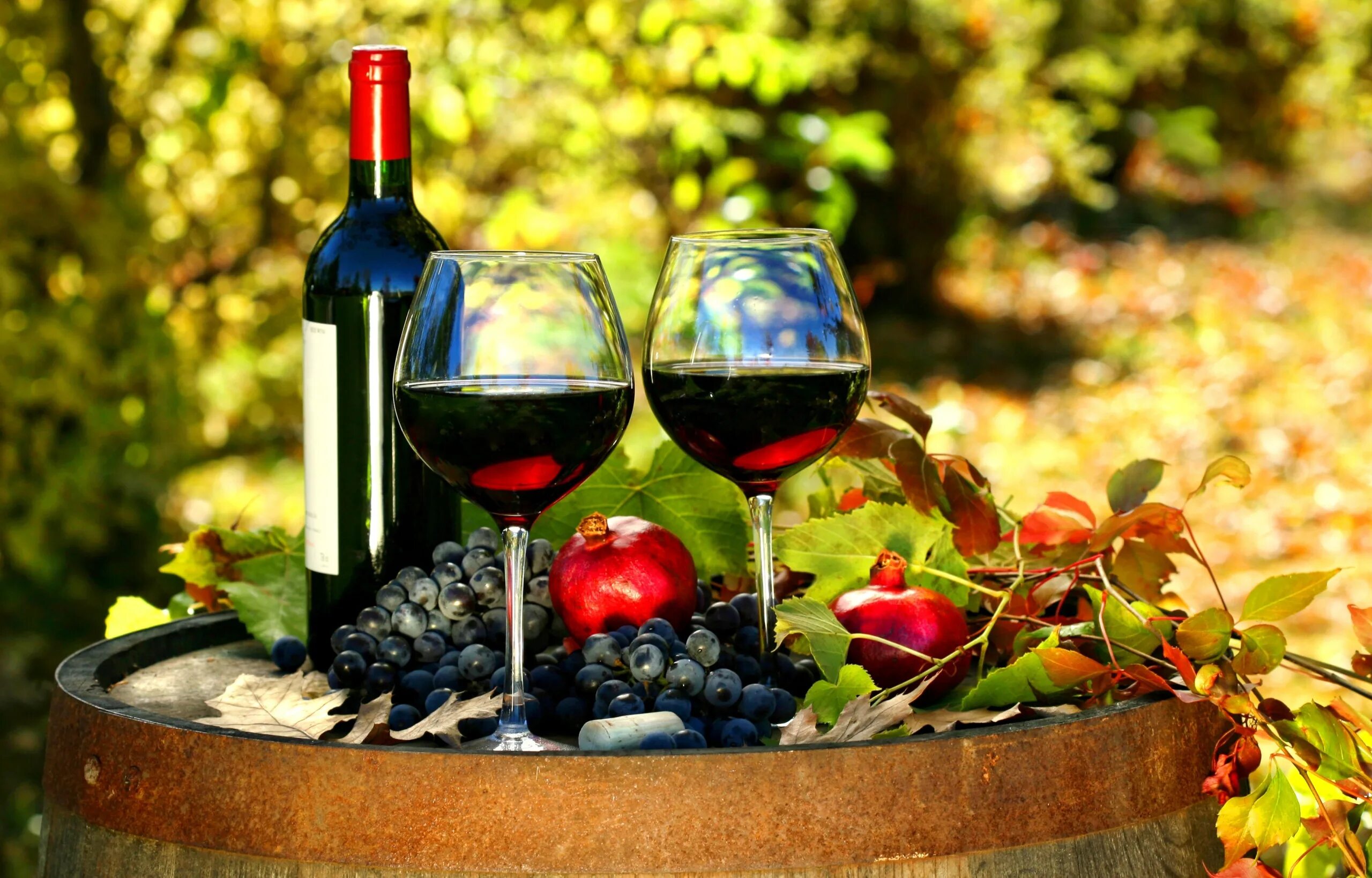 Кахетия Грузия вино. Виноградная лоза вино Грузия. Вино на природе. Вино и фрукты.