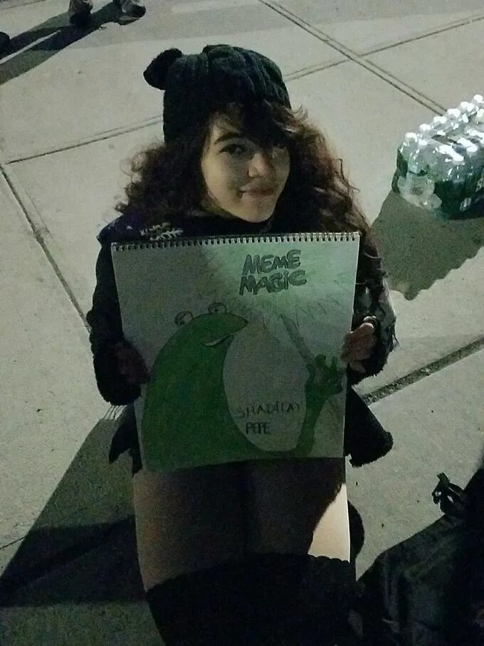 He will not divide. He will not divide us. he will not divide us meme. шайа лабаф трансформеры he will not divide us. флаг he will not divide us frog.