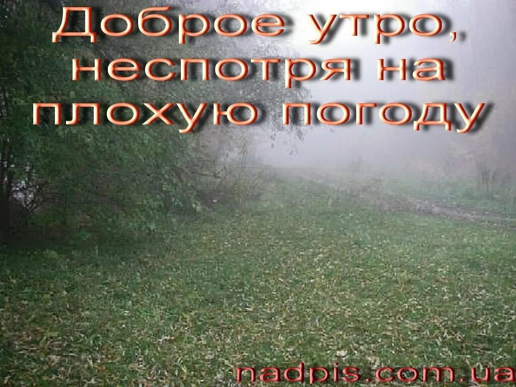 Радость в любую погоду. Доброе утро дождь. Доброе дождливое утро. С добрым дождливым утром прикольные. Пожелания в дождливый день.