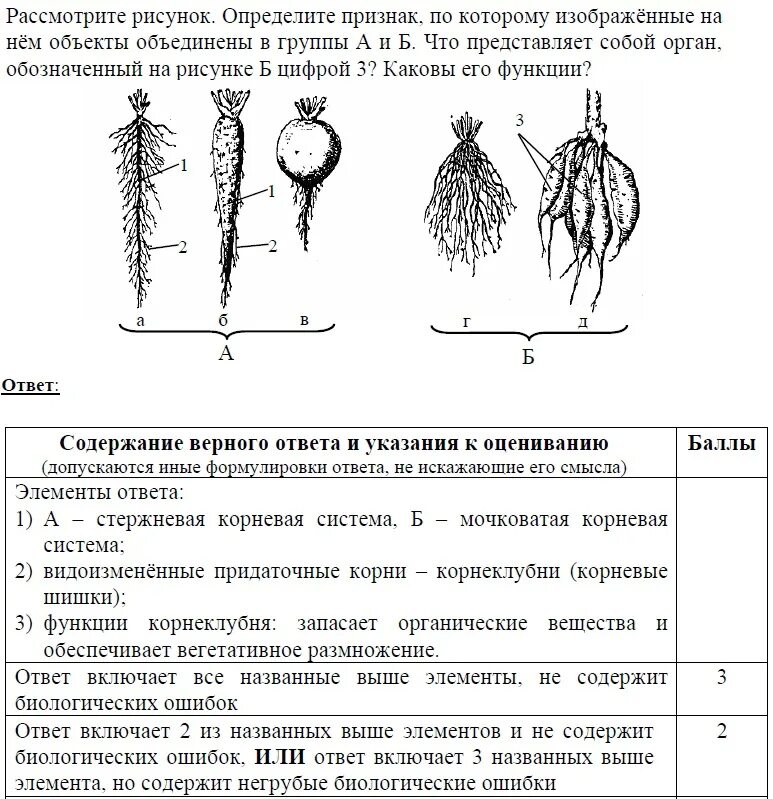 Биоробот егэ биология задания. ФИПИ задания по биологии. 5 Задание ЕГЭ биология. Линия 23 ЕГЭ биология. Задания линии 25 ЕГЭ по биологии.