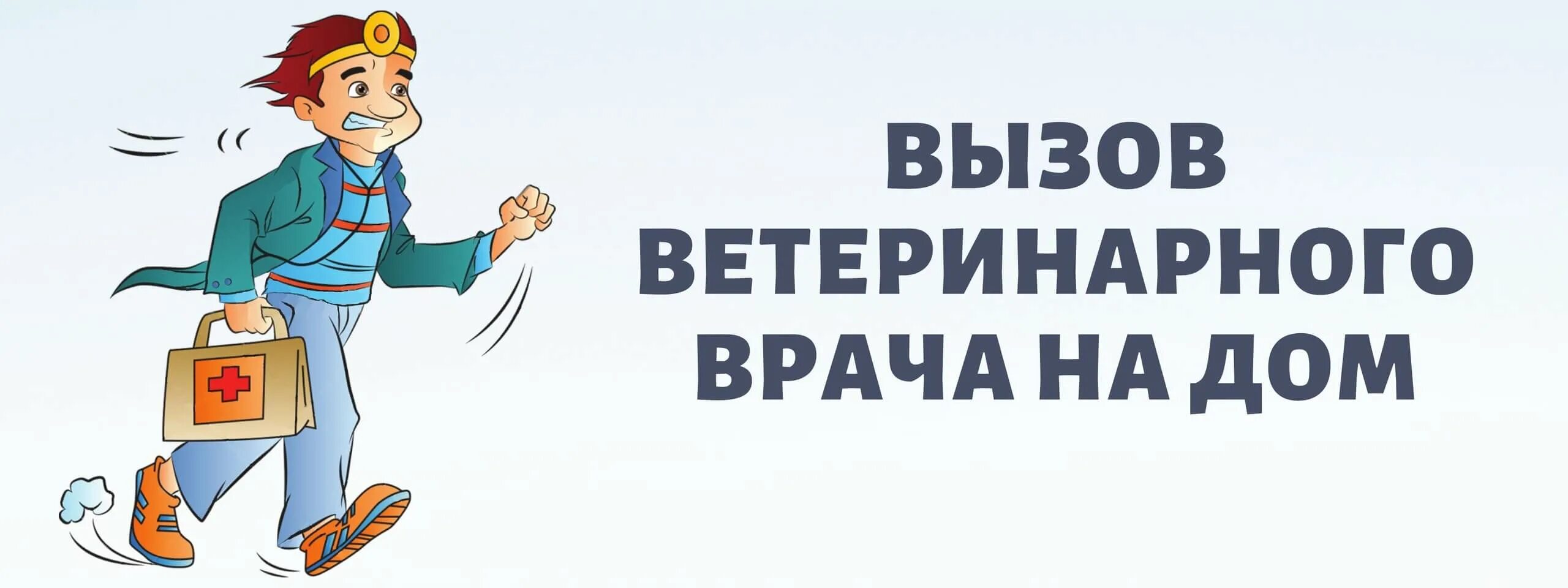 Вызов ветврача на дом. Вызов врача ветеринара на дом. Вызов ветеринарного врача. Вызов ветеринарного врача на дом. Ветеринар вызов врача