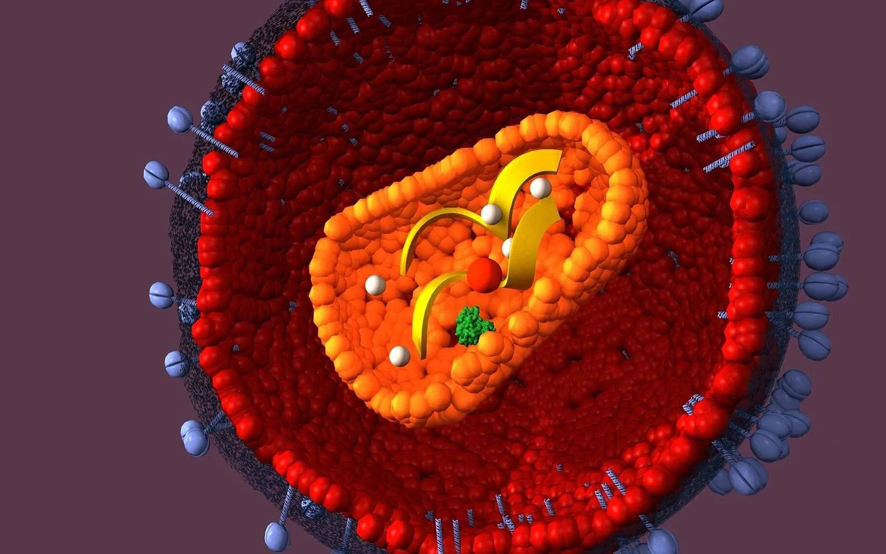 Вирус иммунодефицита человека (Human Immunodeficiency virus). ВИЧ молекула вируса. Вирус иммунодефицита под микроскопом.