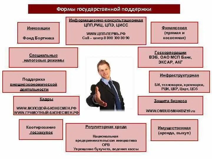 Тип государственной поддержки. Тип государственной поддержки