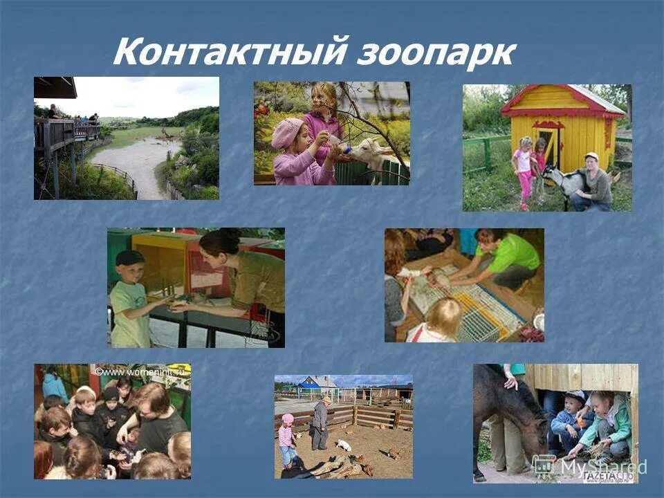 Что такое зоопарк 1 класс. Проект зоопарк 1 класс. презентация про зоопарк 1 класс. проект зоопарк 1 класс окружающий мир.