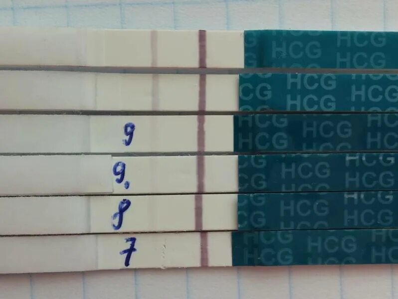 Тесты после подсадки эмбрионов. Тест на беременность после эко. Тесты после переноса эмбрионов. Выделения после подсадки эмбрионов. Розовые выделения дпп