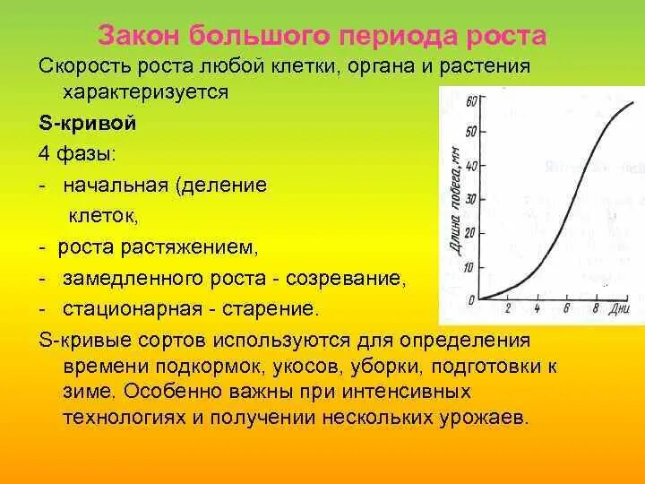 Период роста связанный. Закон большого периода роста закон Сакса. Законы роста растений. Большая кривая роста растений. Быстрота роста растений.