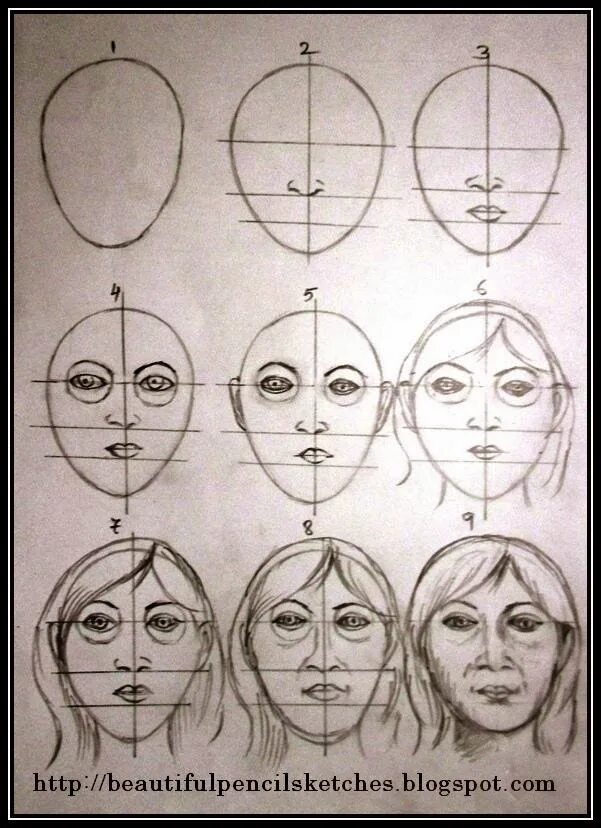 Строю какое лицо. Поэтапное рисование лица. Схема лица человека для рисования. Поэтапные рисунки карандашом человека. Уроки рисования карандашом лицо.