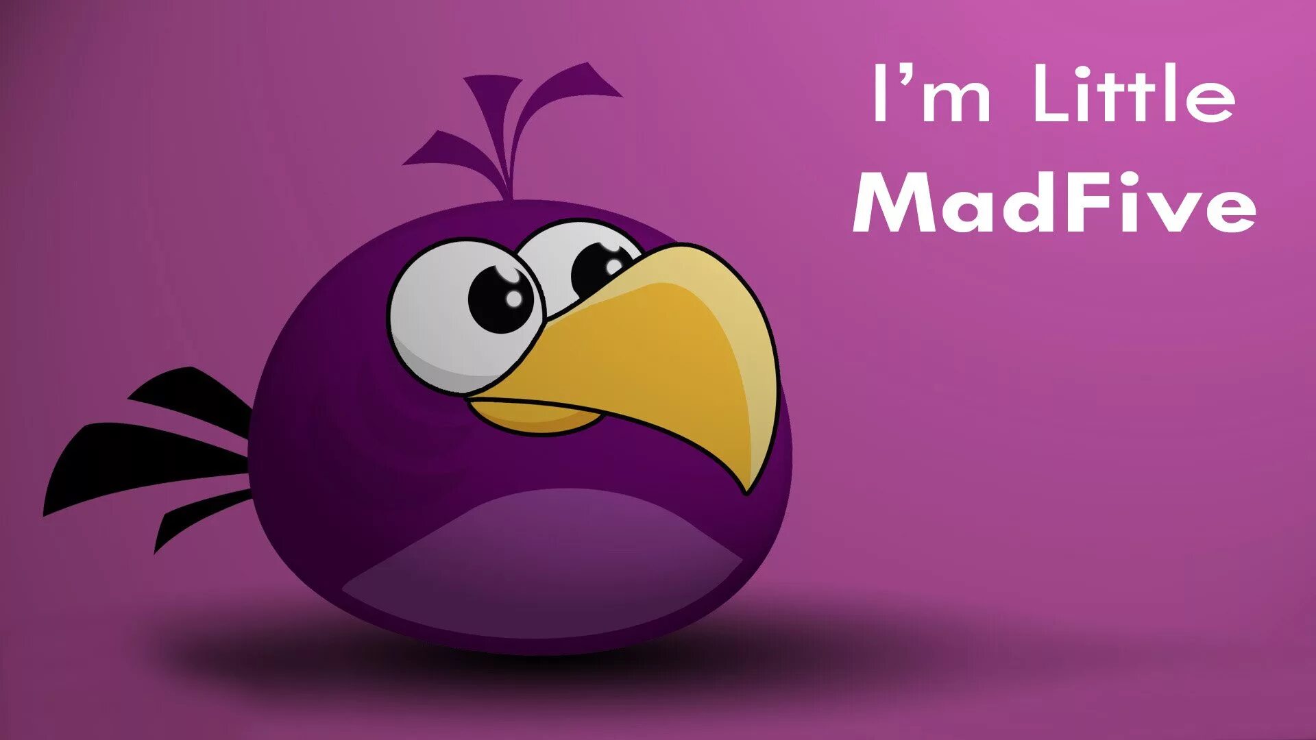 Angry birds новая. Название птичек Энгри бердз. Птицы из Angry Birds. Имена птиц из Энгри бердз. Фиолетовая птица из Энгри бердз.