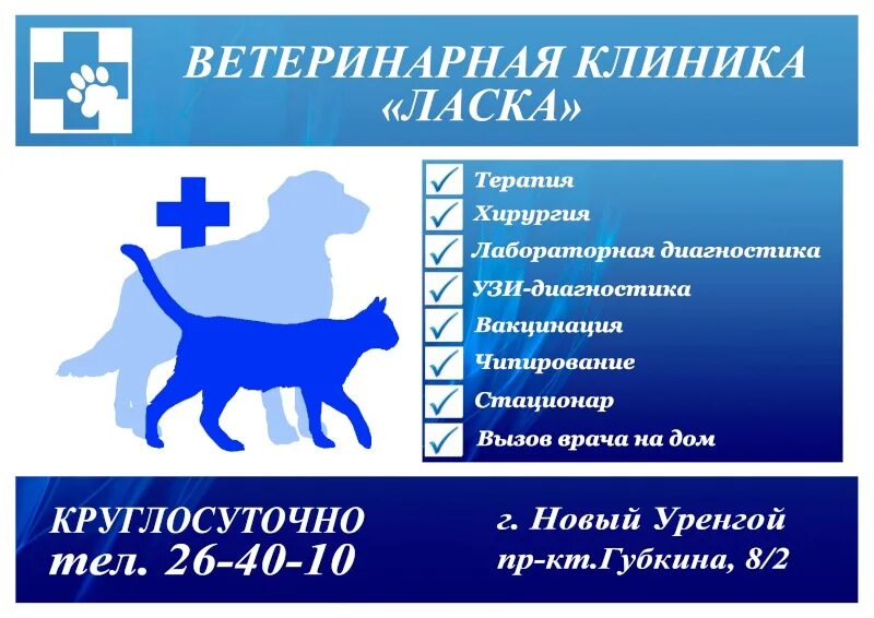 Ветеринарные визитки. Визитка ветеринара. Визитка ветклиники. Рекламный баннер ветеринарной клиники.