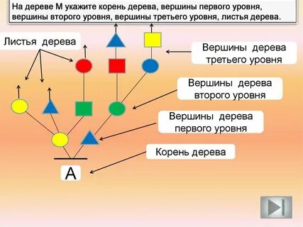 Каждая вершина дерева имеет более одного предка