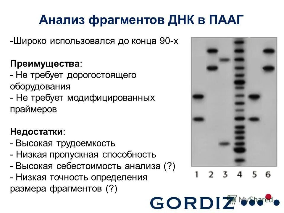 Проанализируйте фрагменты программ