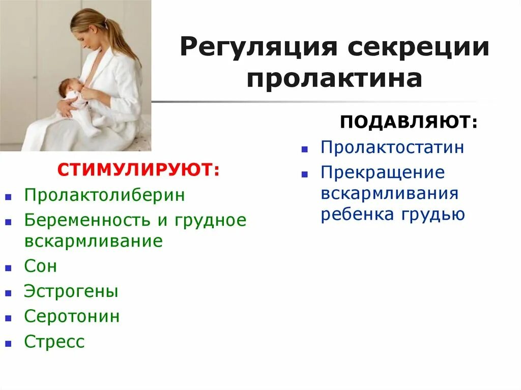 Секрецию пролактина подавляет препараты. Регуляция секреции пролактина. Пролактин физиологический эффект. Секрецию пролактина стимулирует. Таблетки повышающие пролактин