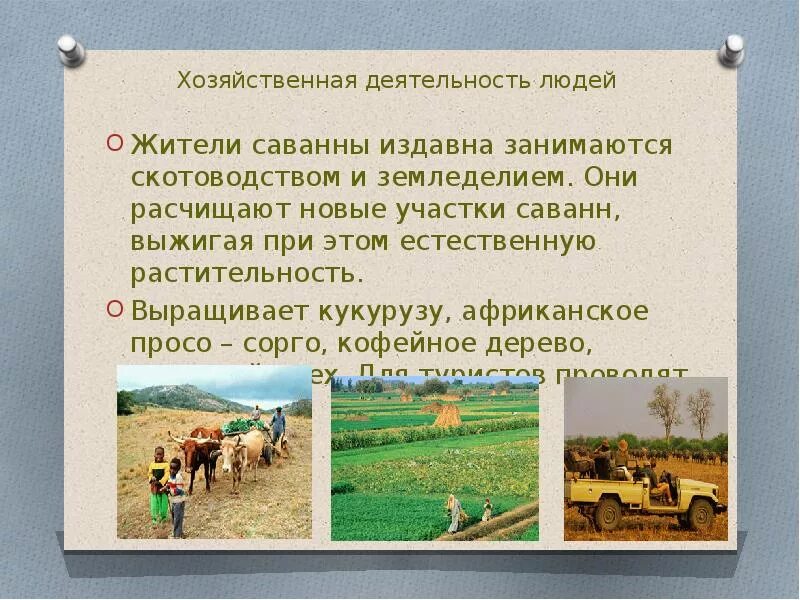 Хозяйственная деятельность народов. Хозяйственная деятельность австралии. хозяйственная деятельность человека в австралии. хозяйственная деятельность человека в австралии кратко. хозяйственная деятельность нигерии.