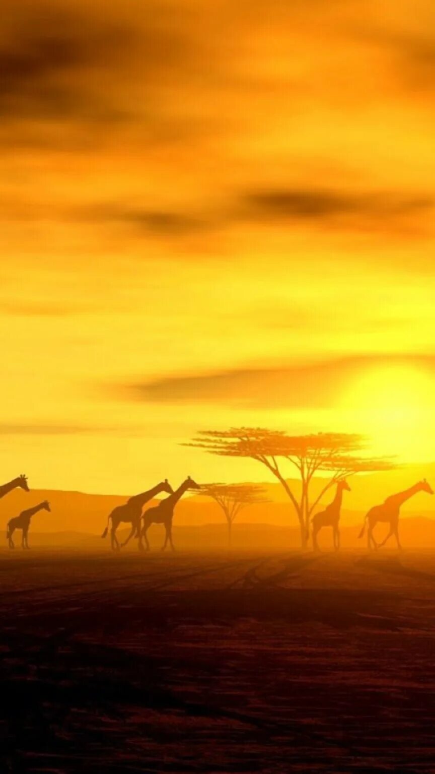 Good africa. Саванна пейзаж. Африка. Африканский закат. Саванна арт.