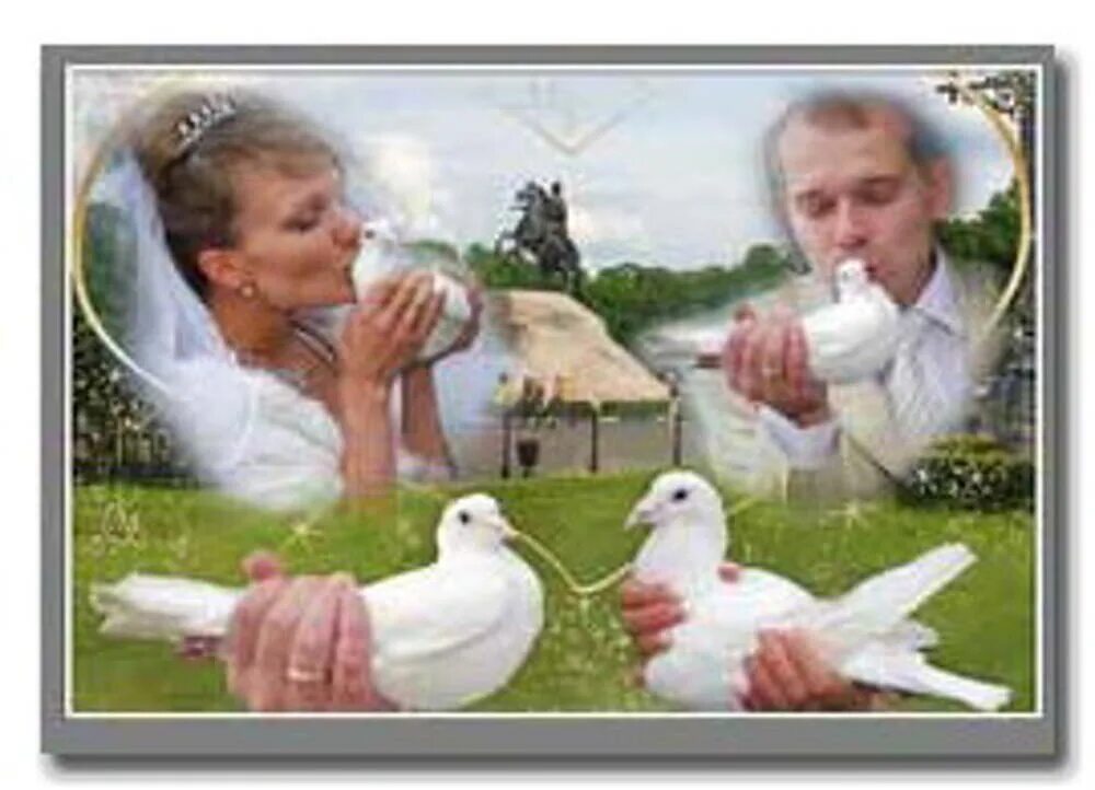 Голуби на свадьбу. Фотосессия с голубями. Свадебные снимки с голубями. Свадебная фотосессия с голубями.