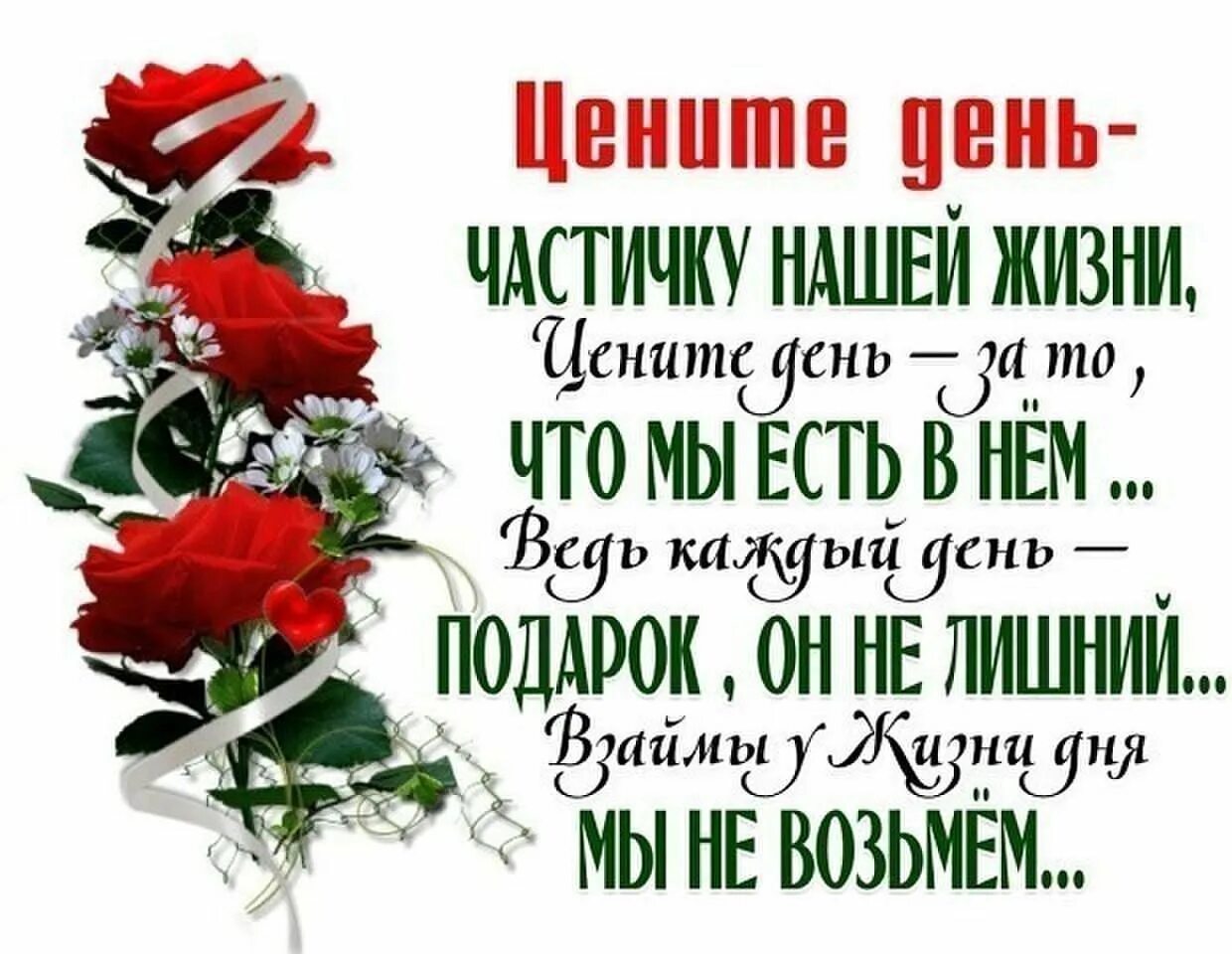 Life is gift. Цените жизнь. Цените каждый день стихи. Цените каждый день жизни. Живите и радуйтесь жизни стихи.