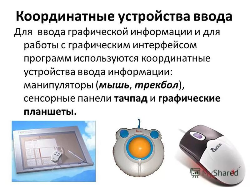 Координатные устройства ввода информации. Коорлинатные устройств. Трекбол для ввода графической информации. Для ввода графической информации используются