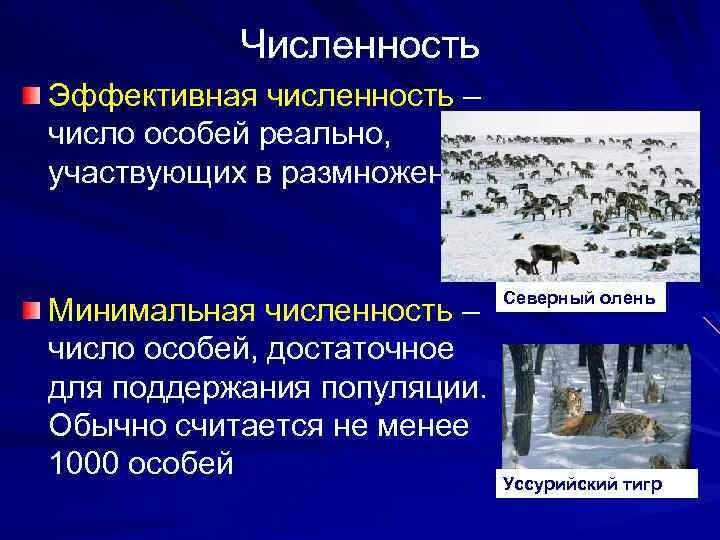 Эффективная численность популяции это. Эффективная численность. Численность популяции животных. Эффективная численность это в биологии.