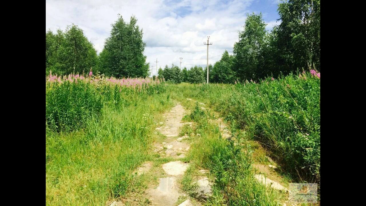Снт клочково солнечногорский. Участок 60 соток. 245 участок. 45 гектар. Посёлке "клочково".