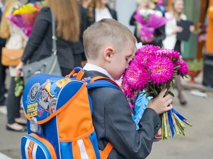 1 сентября сборы