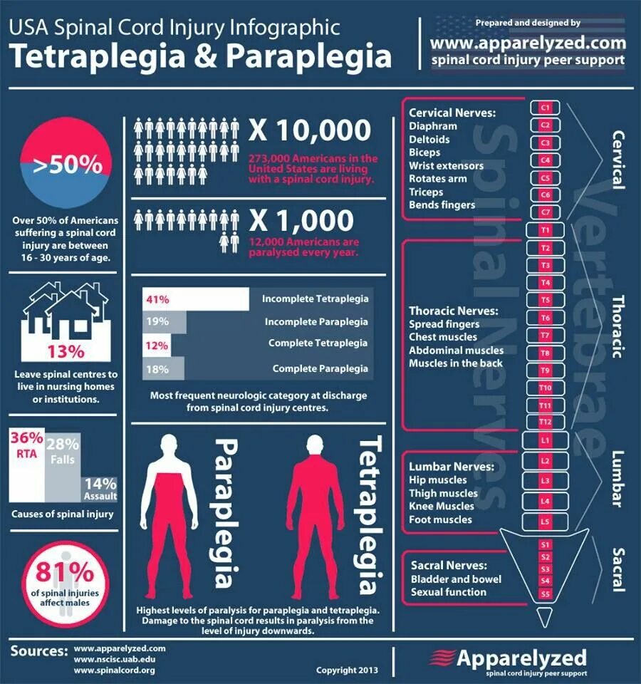 Травматизм инфографика. Травма на производстве инфографика. Оккупационная терапия инфографика.