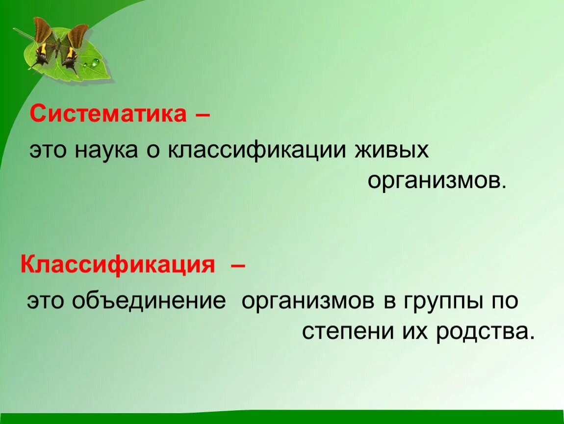 Дать определение живой организм. Что изучает систематика. Систематика это наука изучающая. Что изу,ает систематика. Чтотизучает наука Стстематика.